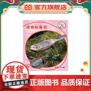 复旦版科学绘本·动物的秘密系列:动物的尾巴(8本美丽的儿童科普书,涵括孩子的动物基础知识,让孩子发现自然之美,开启探