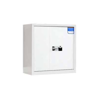 湘渭保密柜财务档案柜文件柜办公室资料储物柜保险柜矮柜白色-国保指纹锁