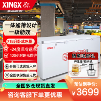 星星(XINGX) 718升商用卧式大冷柜 冷藏冷冻转换柜 节能省电 断电保护 大冷冻力冰柜 BD/BC-728GE