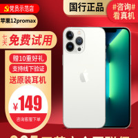 [99新]Apple/苹果 iPhone 12promax 256G 银色 二手手机 二手苹果 国行正品全网通5G