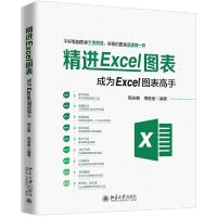 正版新书]精进EXCEL图表:成为EXCEL图表高手周庆麟,周奎奎97873