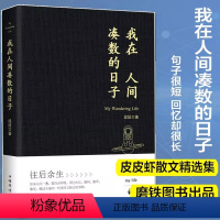 [正版]书店我在人间凑数的日子 段段著皮皮虾书段友新锐作者创作散文精选多篇散文无限的感悟和遐想听什么歌都像在唱自己