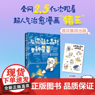 在混凝土森林里种星星 新华出版社