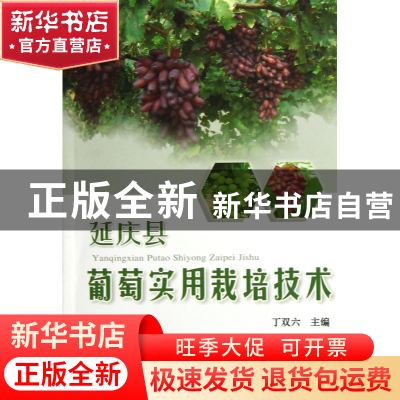 正版 延庆县葡萄实用栽培技术 丁双六 中国农业大学 978756550611