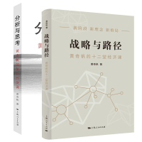 音像分析与思考+战略与路径共2册著