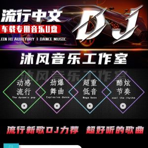 [补贴10%]2024近期更新歌车载音乐u盘热门网络流行中文dj无损mp3优盘高清