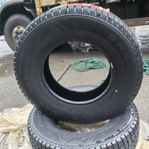 朝阳 雪地胎 245/55R19 条