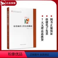[正版]2023新书 审查调查工作实务概论 新时代纪法思维系列丛书 李如君 著 中国方正出版社