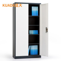 文件柜钢制办公铁皮柜资料档案柜文件柜两门KDG001