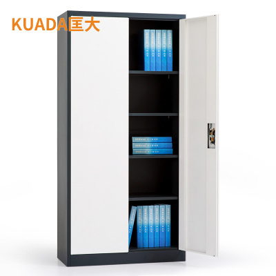 文件柜钢制办公铁皮柜资料档案柜文件柜两门KDG001