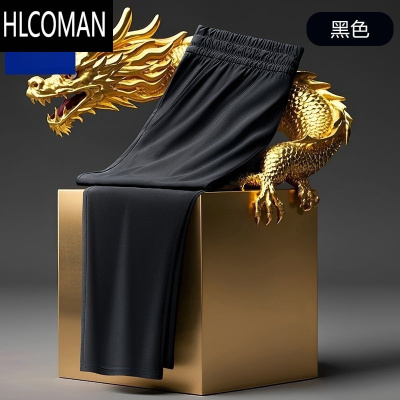 HLCOMAN男士长裤2025夏季冰丝速干新款简约商务通勤舒适休闲裤子男