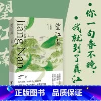 望江南 [正版]望江南 王旭烽 茅盾文学奖得主沉潜26年长篇小说力作见证个人史家族史 民族史中的百年中国小说书籍
