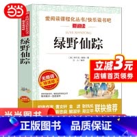 绿野仙踪 [正版]绿野仙踪原著 小学生三四五六年级初中七八九年级学习青少年儿童课外阅读书籍经典书目文学名著读物爱阅读