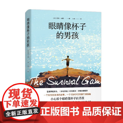 眼睛像杯子的男孩 妮奇·辛娜 著 小说