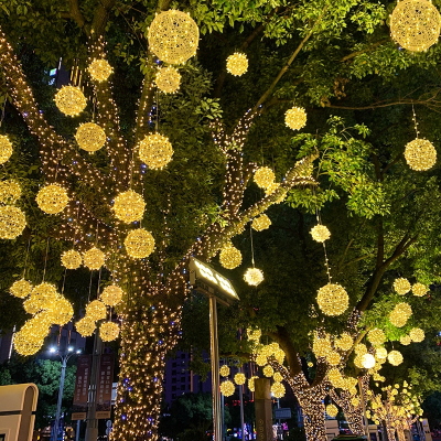 新年led挂树木上的球灯藤球彩灯树灯户外庭院灯节日树上装饰亮化(rdk)