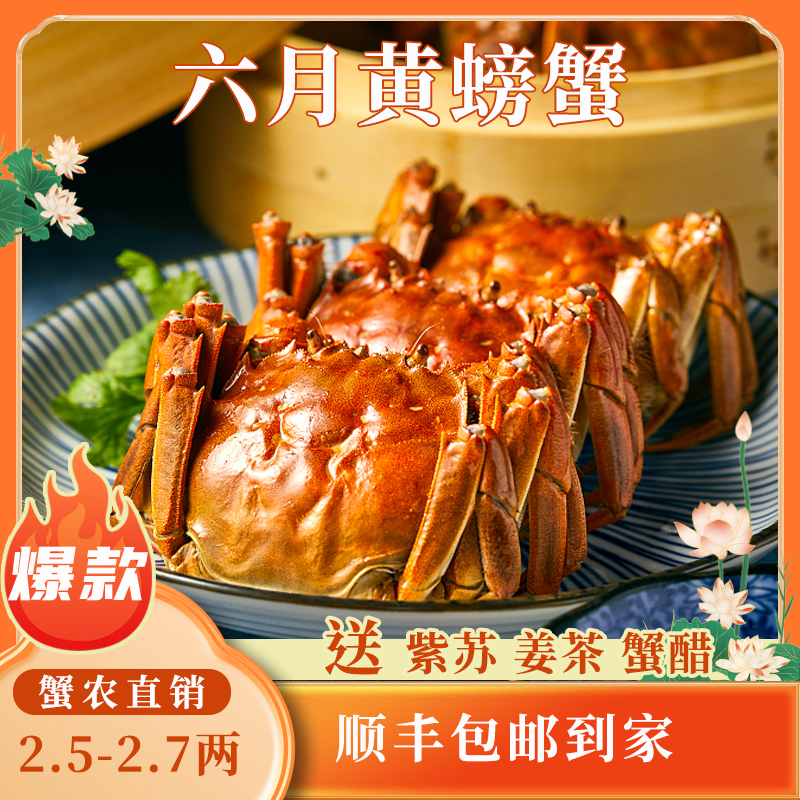 苏州大闸蟹蟹灵阁鲜活六月黄大闸蟹2.5两10只装公母随机大螃蟹鲜甜满黄直达到家死蟹包赔