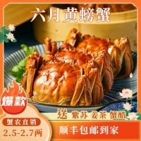 苏州大闸蟹蟹灵阁鲜活六月黄大闸蟹2.5两10只装公母随机大螃蟹鲜甜满黄直达到家死蟹包赔