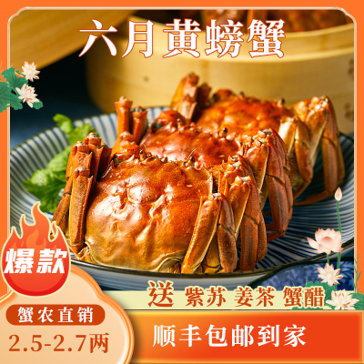 苏州精品大闸蟹鲜活六月黄螃蟹河蟹2.5两10只装公母随机大螃蟹鲜甜满黄直达到家死蟹包赔