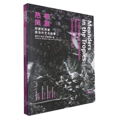 [N]热带风暴(印度尼西亚现当代艺术叙事)(精)-9787531491187