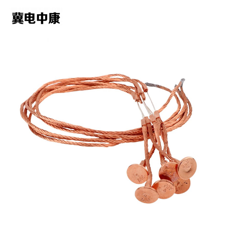 冀电中康 熔丝 RW-10/10A 根