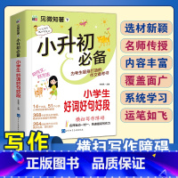 小升初好词好句好段 小学通用 [正版]2024小升初知识大集结小学语文数学英语升学夺冠基础重点知识大全通用版人教版六年级