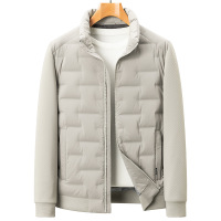 轻薄秋羽绒服青年潮流休闲新国标90鸭绒男士防风立领时尚羽绒外套