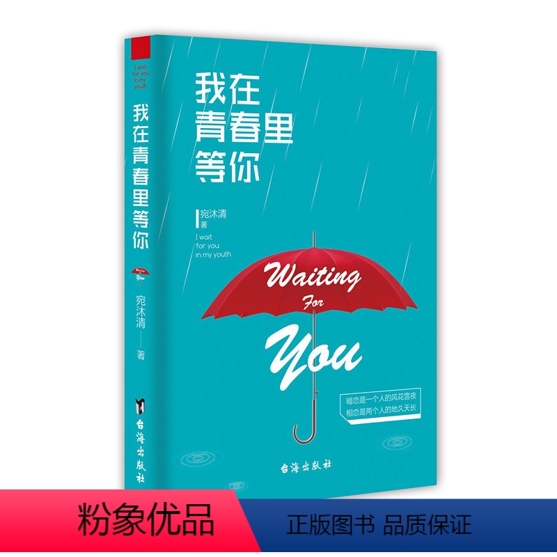 [正版] 我在青春里等你 宛沐清 暗恋是一个人的风花雪夜 相恋是两个人的地久天长 台海出版社 爱情小说书籍 畅想之星