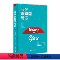 [正版] 我在青春里等你 宛沐清 暗恋是一个人的风花雪夜 相恋是两个人的地久天长 台海出版社 爱情小说书籍 畅想之星