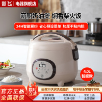 新飞电饭煲小型电饭锅家用迷你多功能煮饭锅宿舍煮粥煮饭煲汤饭煲 智能款 4L