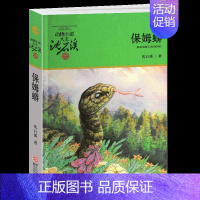 保姆蟒 [正版]混血豺王沈石溪小学四年级五年级全集全套书浙江少年儿童出版社非注音版完整版动物小说大王品藏书系小学生课外阅