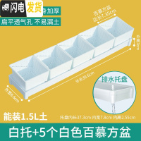 三维工匠控根多肉花盆套装组合塑料创意个性简约透气北欧风 [新款加厚盆]+[窄排水白托]+5个白盆(7.35cm盆花盆容器