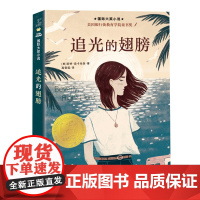 《追光的翅膀》