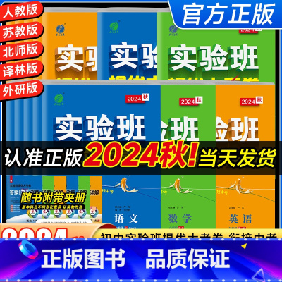 [人教版]语数英物化5本套装 九年级/初中三年级 [正版]2025版实验班初中提优大考卷七年级上八年级下九年级上册下册科