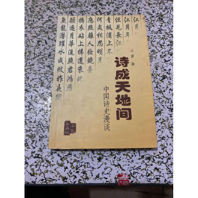 正版新书]诗成天地间中国诗史漫谈王南9787801423825