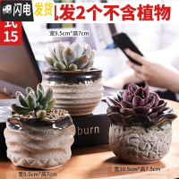 三维工匠多肉花盆植物简约陶瓷盆器套装种多肉个性盆器 套015(随机2个) 中小花盆容器