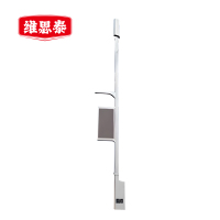 维思泰 LED道路灯灯杆 WST-DL5 个