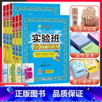 24秋]1上.语数英 3本-苏教版 小学一年级 [正版]2023新版实验班提优训练一年级上下册语文数学英语苏教版人教版译