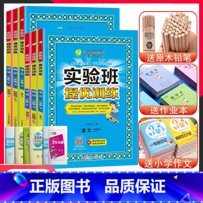 24秋]1上.语数英 3本-苏教版 小学一年级 [正版]2023新版实验班提优训练一年级上下册语文数学英语苏教版人教版译