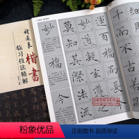 [正版]褚遂良楷书临习技法精解 雁塔圣教序/孟法师碑历代名家碑帖 八开米字格技法解析教程 楷体书法爱好者毛笔入门临摹墨