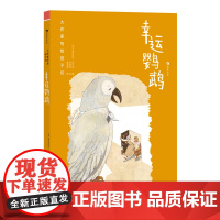 大作家写给孩子们:幸运鹦鹉