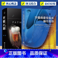 2册]牙髓之路第11版+牙髓病临床操作指导 [正版]任选牙髓之路第11版第十一版牙髓治疗并发症的处理口腔科学书籍医学类专