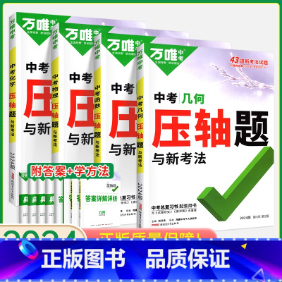 压轴题[几何+函数+物理]3本 初中通用 [正版]2024数学压轴题全解析物理化学全国版专项训练初中数学函数几何模型辅助