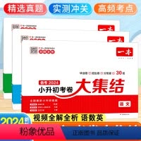 [备考2024-3本]语文+数学+英语 小学升初中 [正版]2024新版小升初考卷大集结语文数学英语一本小学毕业升学考卷