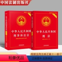 [正版]套装2册刑法+刑事诉讼法 中华人民共和国刑法 刑事诉讼法实用版 法律法规刑法法条司法解释 中国法制出版社 法律