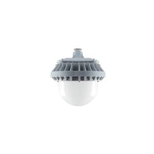 华光毅LED室外灯HYSF3102-100W