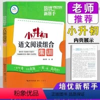 语文阅读组合集训 小学升初中 [正版]2024培优新帮手小升初语文阅读组合集训现代文古诗词文言文小学6年级语文阅读总复习