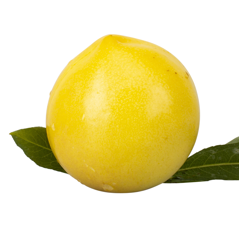 预售黄心黄肉山东新鲜当季应季整箱黄金油桃子水果1斤