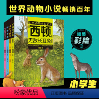 无敌长耳兔 [正版]西顿动物小说fb无敌长耳兔 大力士熊王 野狼传奇 甘达峰的山羊大王 经典动物文学适合中小学生阅读课外