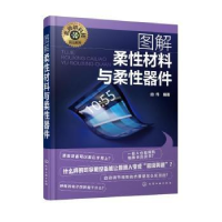 音像图解柔材料与柔器件由伟编著