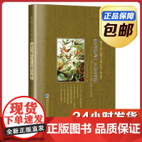 [全新正版]费马数与广义费马数 从一道USAMO试题的解法谈起 刘培杰数学工作室